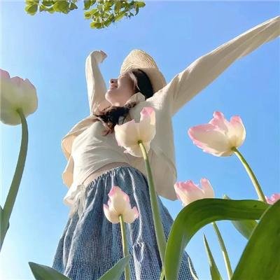 水星领航员 The AVVENIRE